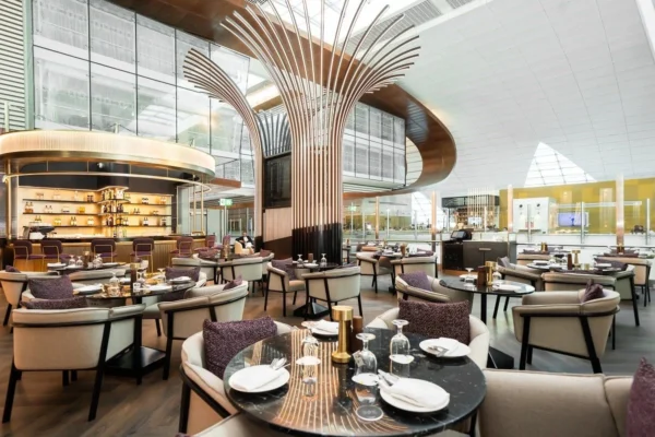 Transit Meet & Assist +  Ahlan Lounge Access @ DXB - Terminal 3 - Image 3