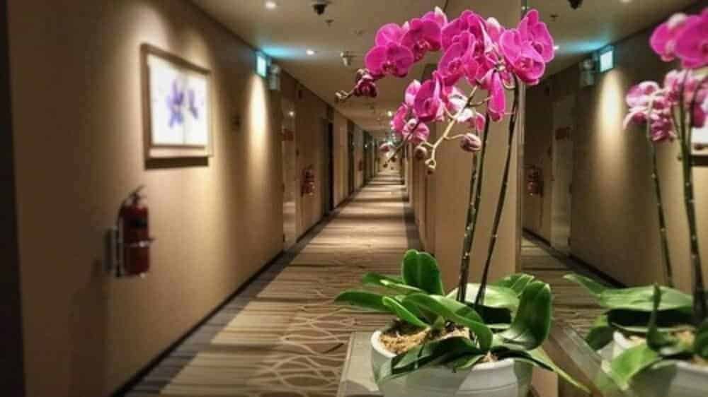 Changi Transit Hotel T3- 6 hours - Image 4